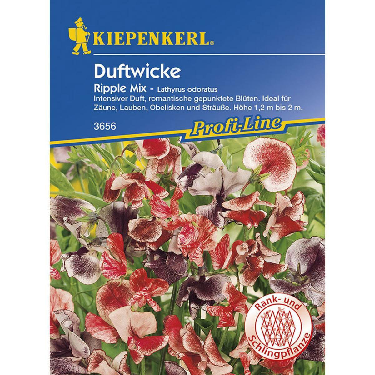 Kiepenkerl Edel-Wicken Ripple Mix