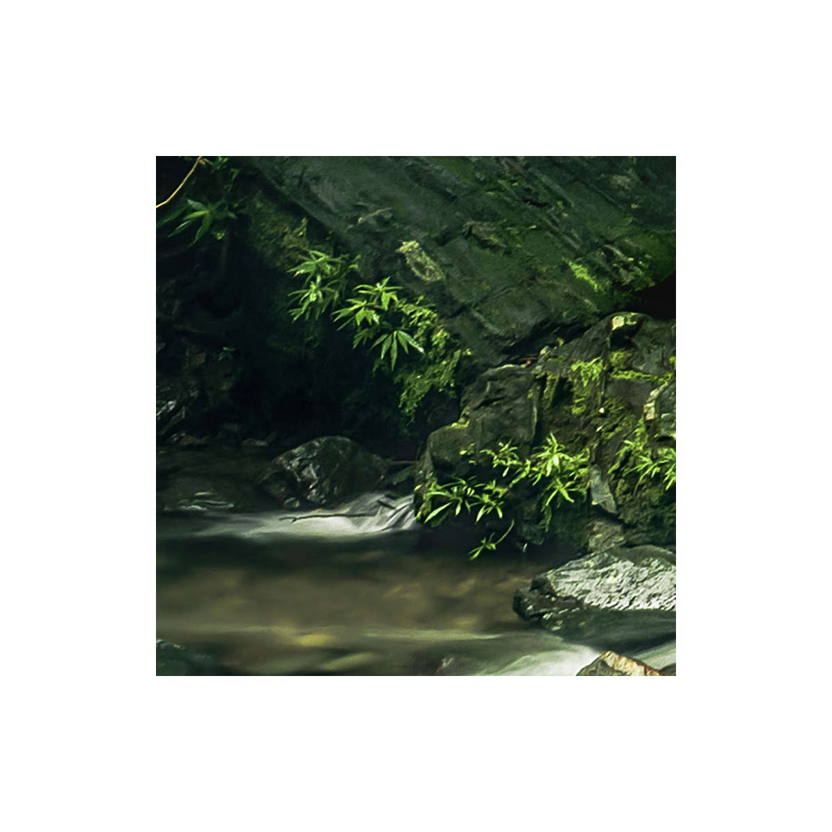 Komar  Vlies Fototapete My Hidden Treasure 400x250 cm Bild 4