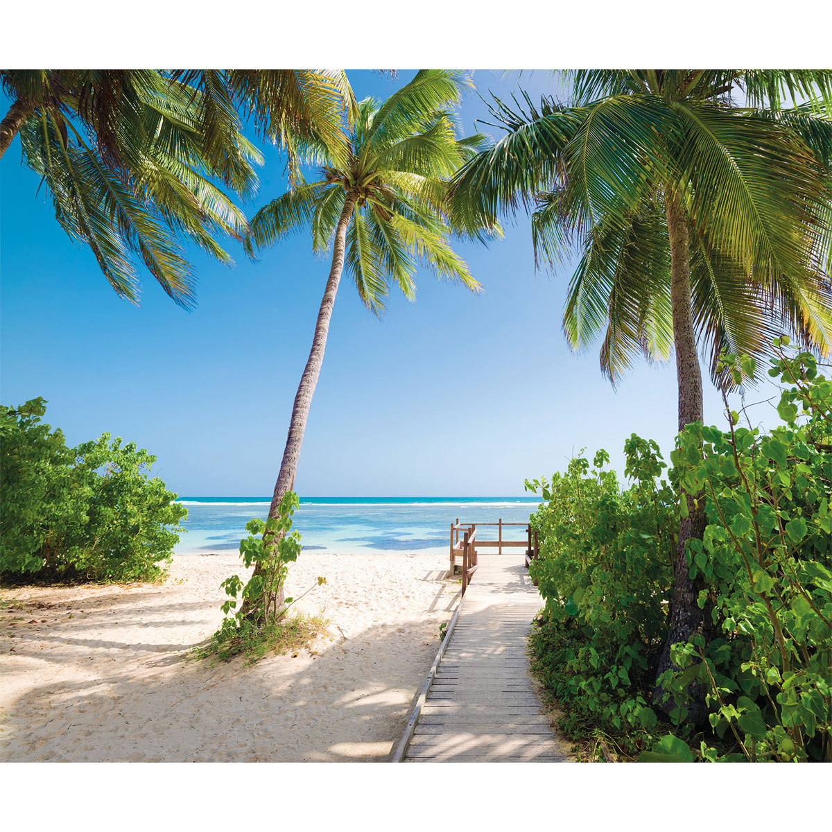 Komar  Vlies Fototapete Palmy Beach 300x250 cm Bild 2