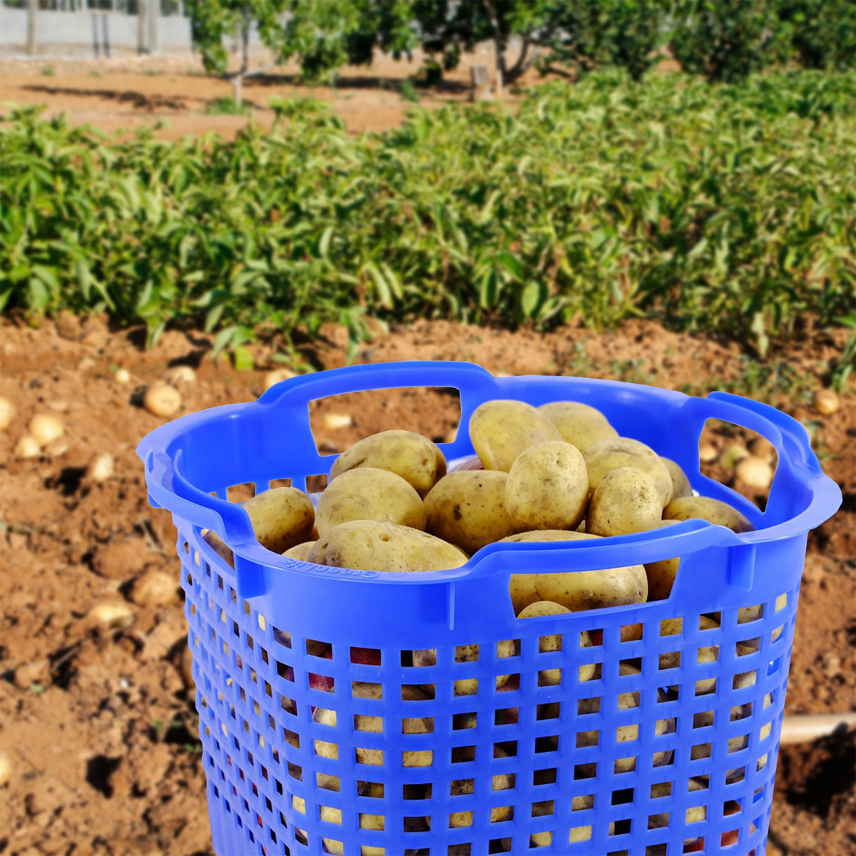 GreenLife Uni-Korb 25 kg, 3 Stück, drehstapelbar, blau Bild 9