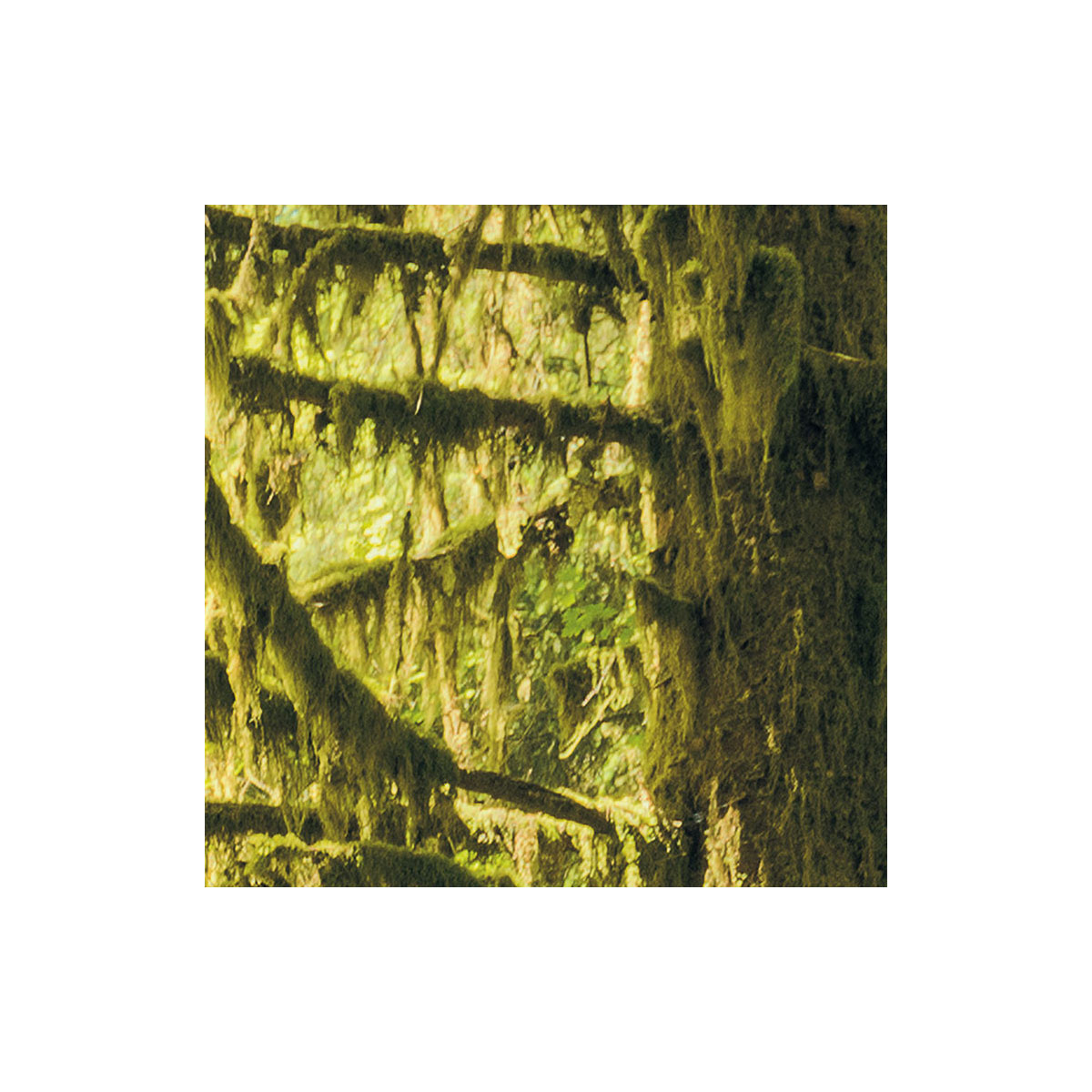 Komar  Vlies Fototapete Ancient World 400x250 cm Bild 5