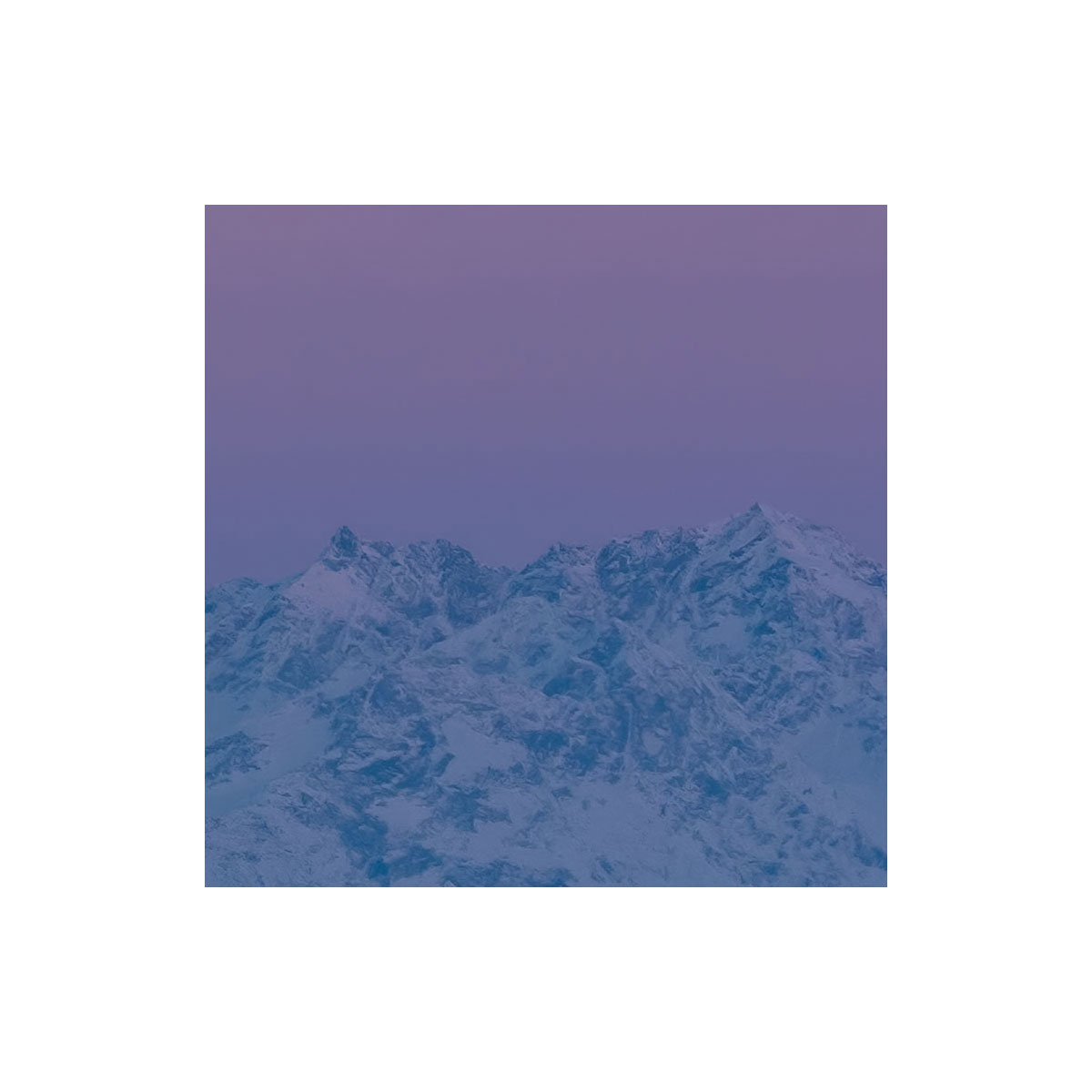 Komar  Vlies Fototapete Purple Dinner 450x280 cm Bild 6