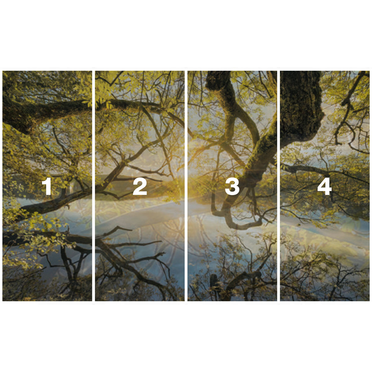 Komar  Vlies Fototapete Golden Embrace 400x250 cm Bild 3