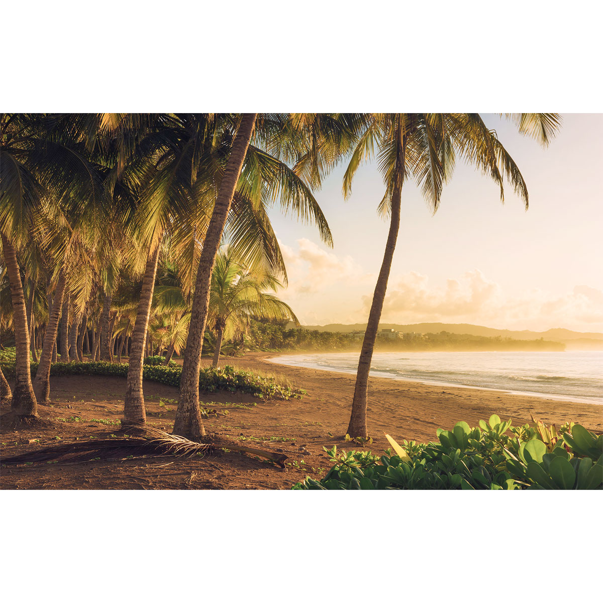 Komar  Vlies Fototapete Golden Lands 400x250 cm Bild 2