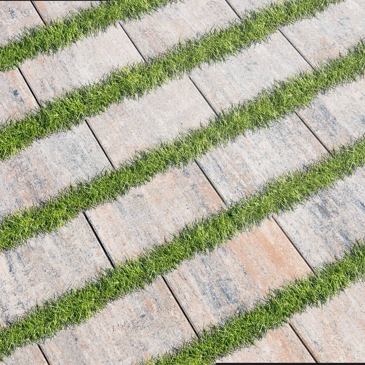 Diephaus  Pflaster Edition Eco muschelkalk 30 x 20 x 6 cm