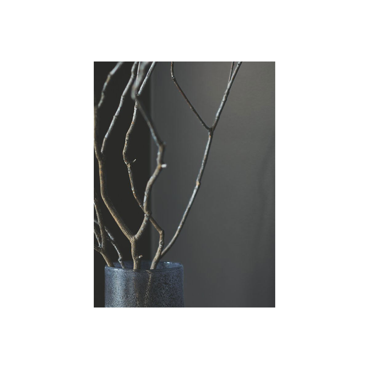 Alpina Feine Farben Stille des Vulkans 2,5 L Bild 3