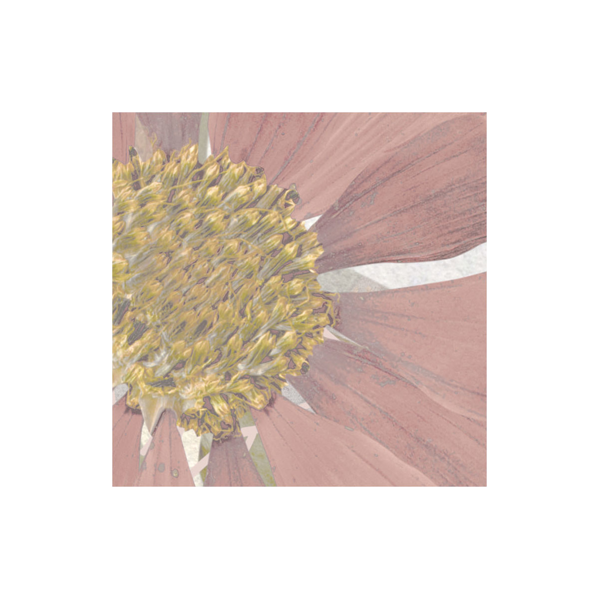 Komar  Vlies Fototapete Endless Spring 350x250 cm Bild 5