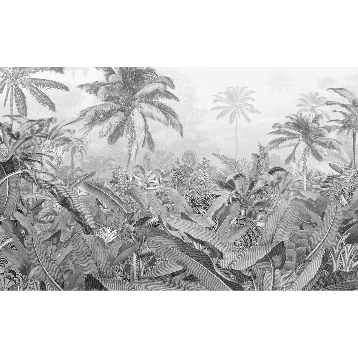 Komar  Vlies Fototapete Amazonia Black & White 400x250 cm Bild 2
