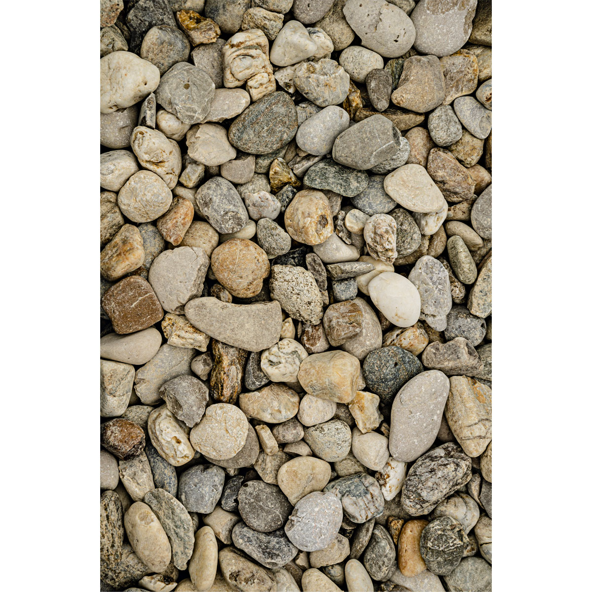 Flusskiesel bunt 32-50 mm 25 kg Bild 1