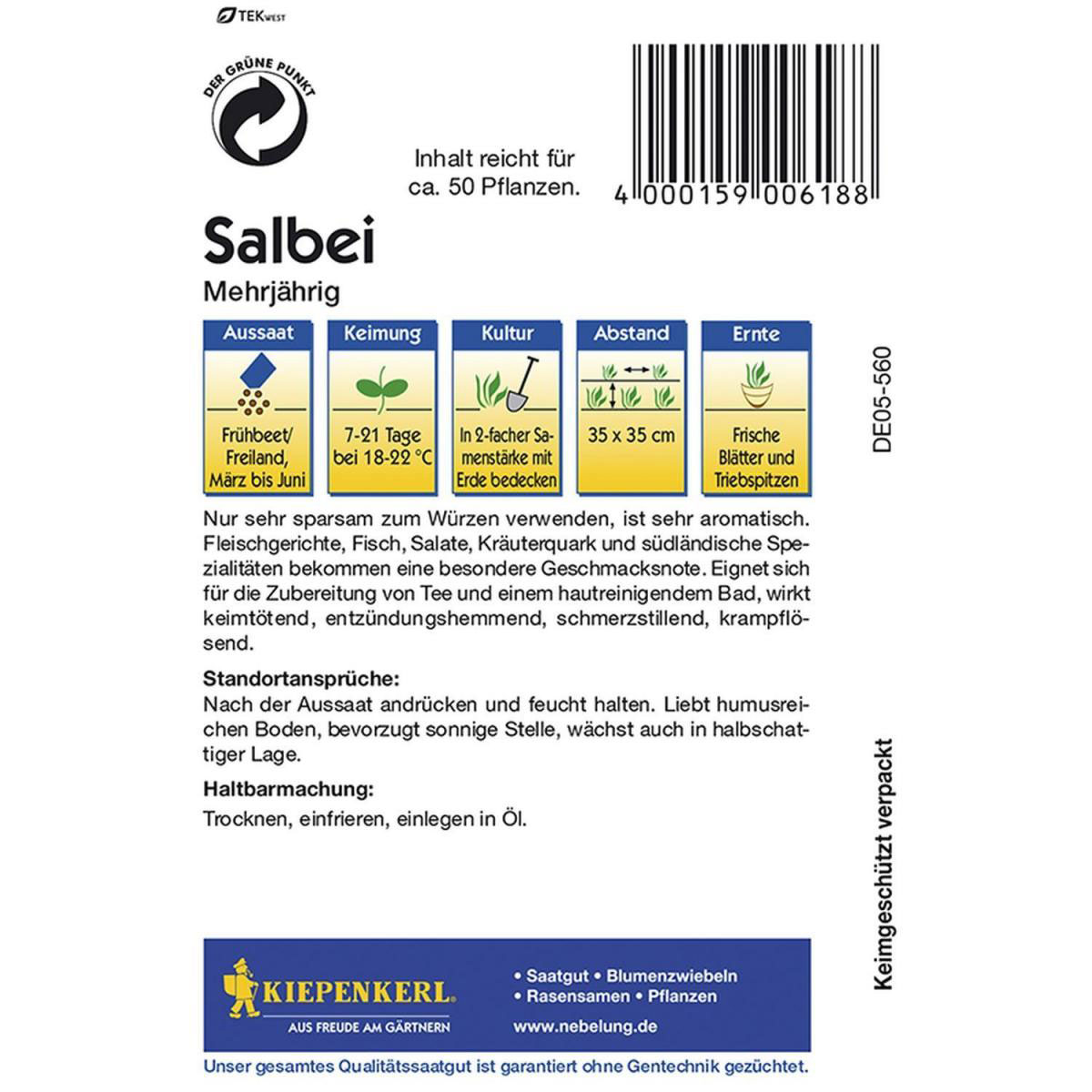 Kiepenkerl Salbei mehrjährig Bild 2