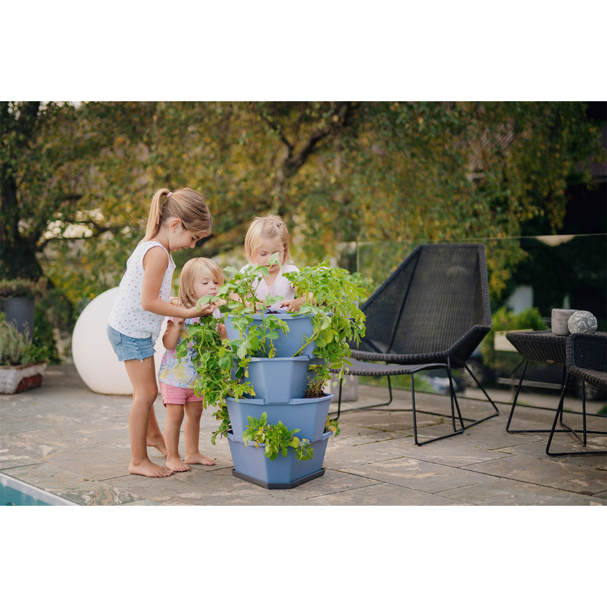 Anzuchtsgefäß Paul Potato blau 4er Set Bild 2