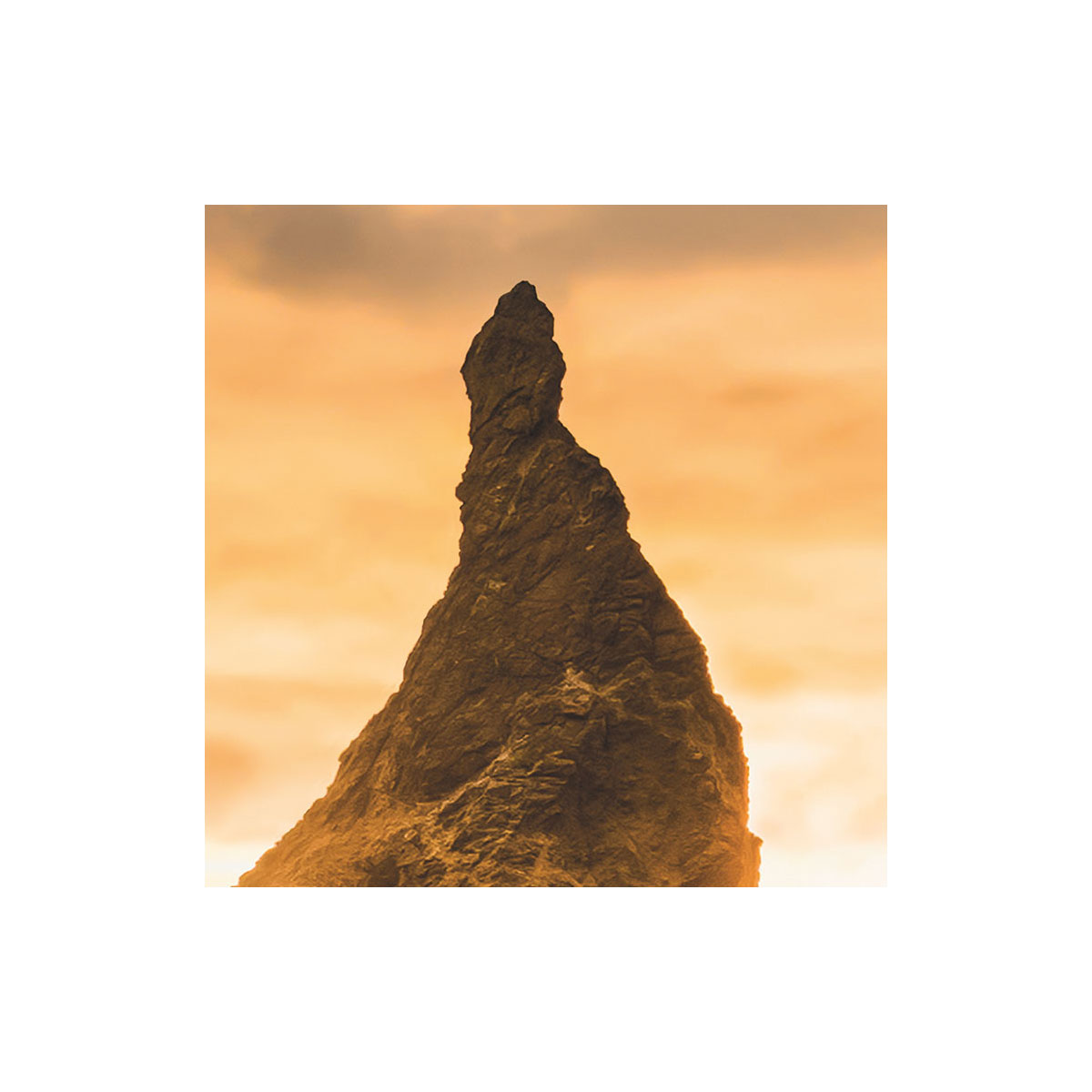 Komar  Vlies Fototapete Golden Stacks 400x250 cm Bild 5