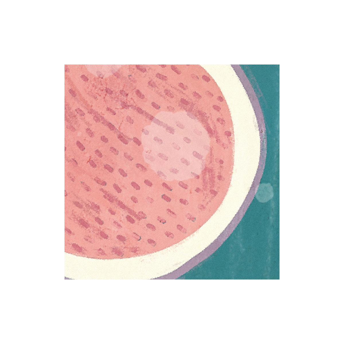 Komar  Vlies Fototapete Rêve de Fruits 350x250 cm Bild 7