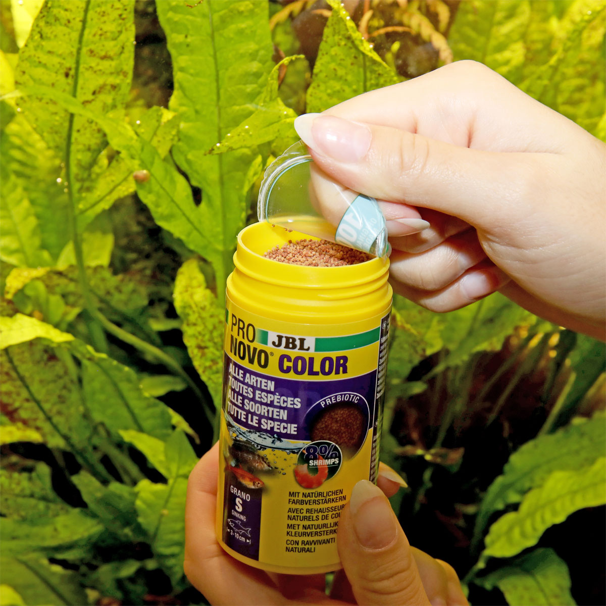 JBL  PRONOVO COLOR GRANO S 100ml CLICK Bild 2