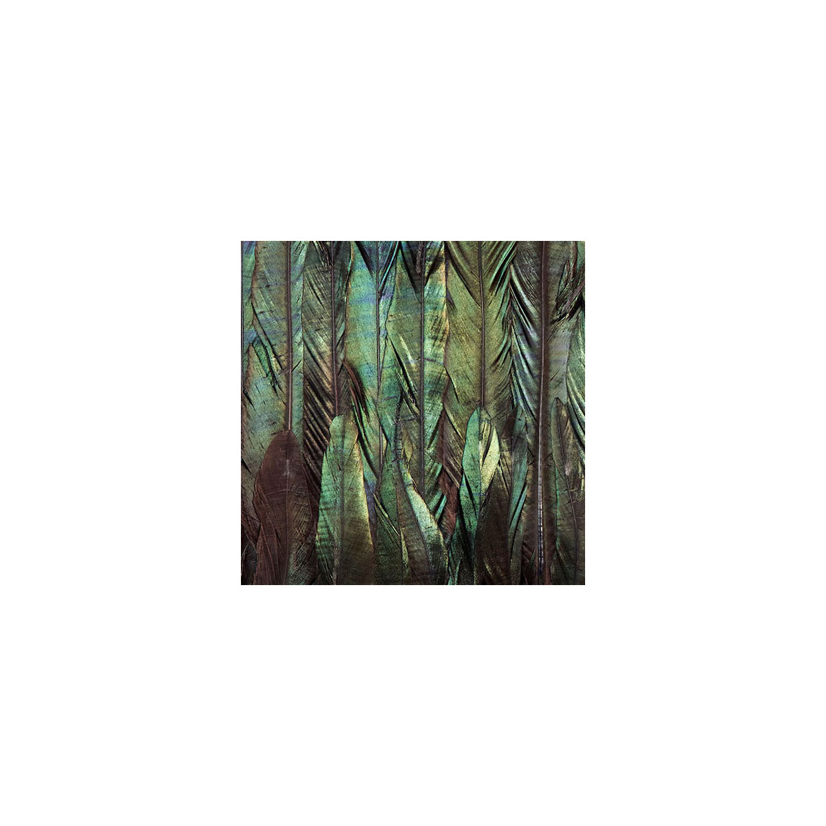 Komar  Vlies Fototapete Dark Wings 200x250 cm Bild 4