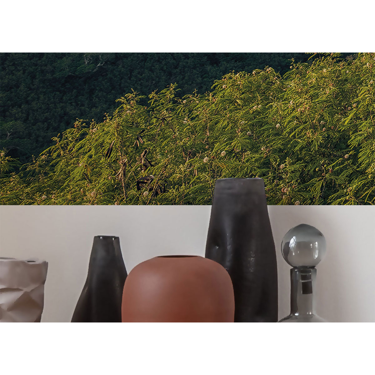 Komar  Vlies Fototapete Monkey Island 350x200 cm Bild 10