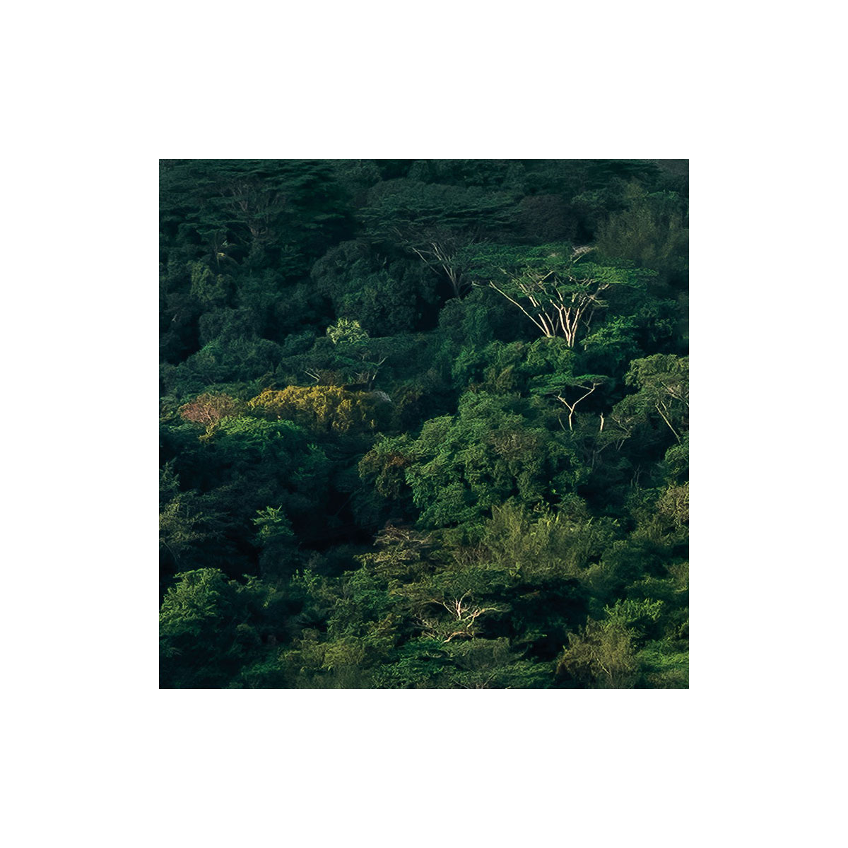 Komar  Vlies Fototapete Heavens Balcony 450x280 cm Bild 7