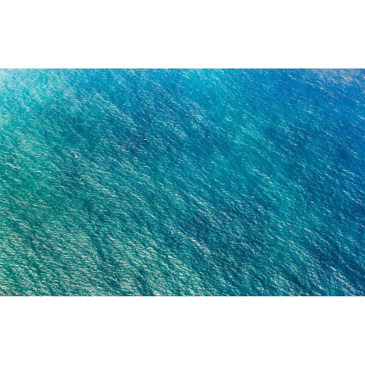 Komar  Vlies Fototapete Blaupause 400x250 cm Bild 2