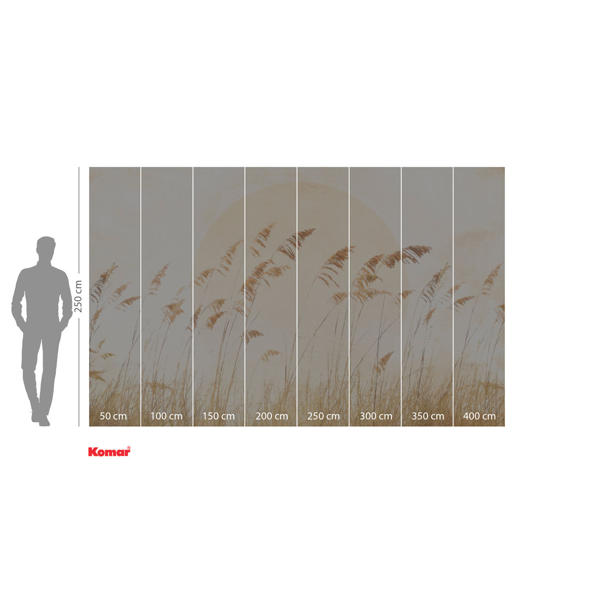 Komar  Vlies Fototapete Dune Grass 400x250 cm Bild 3