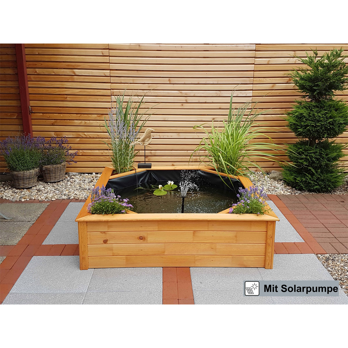 Promadino Hochteich 4 seitliche Pflanzzonen solar Bild 3