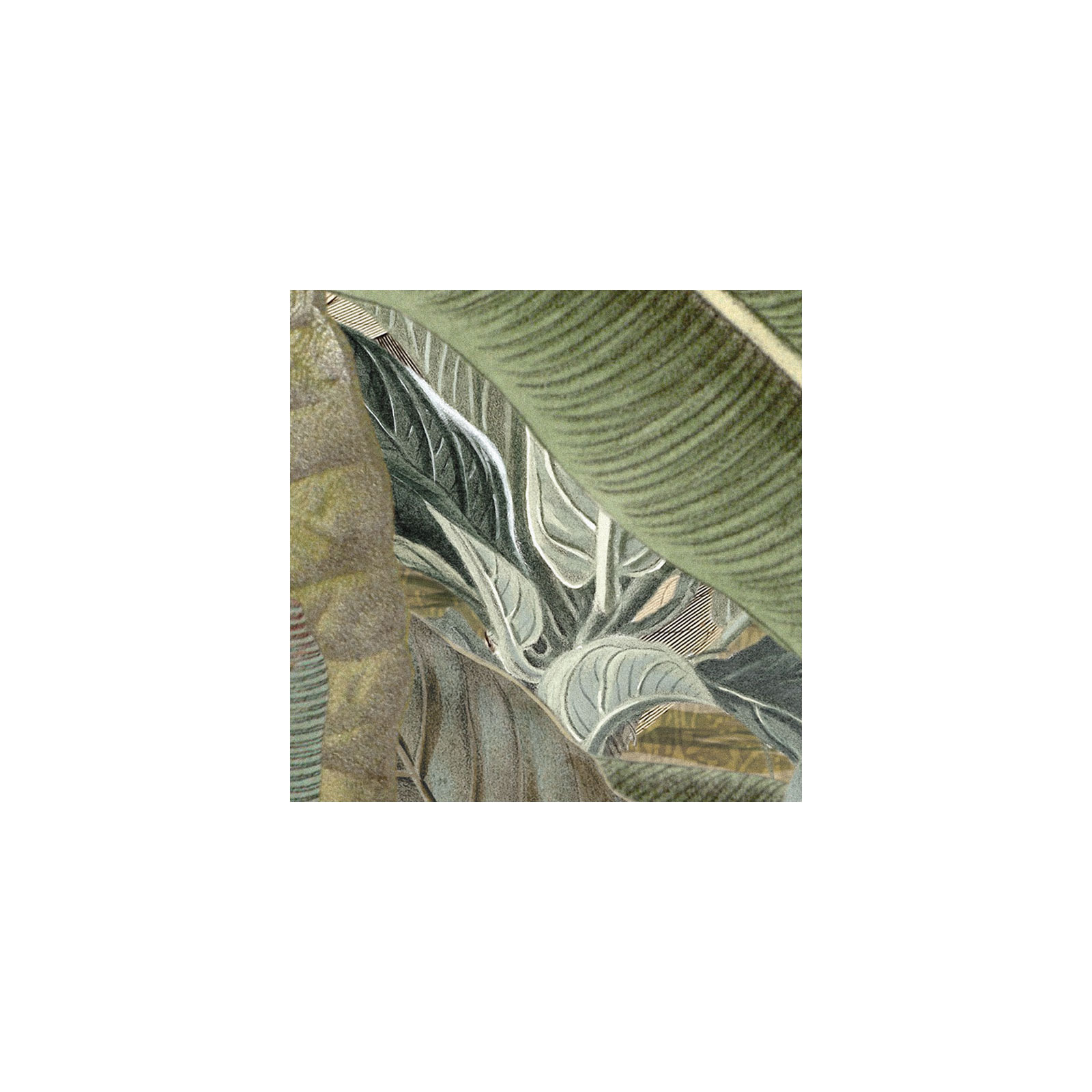 Komar  Vlies Fototapete Amazonia 368x248 cm Bild 8