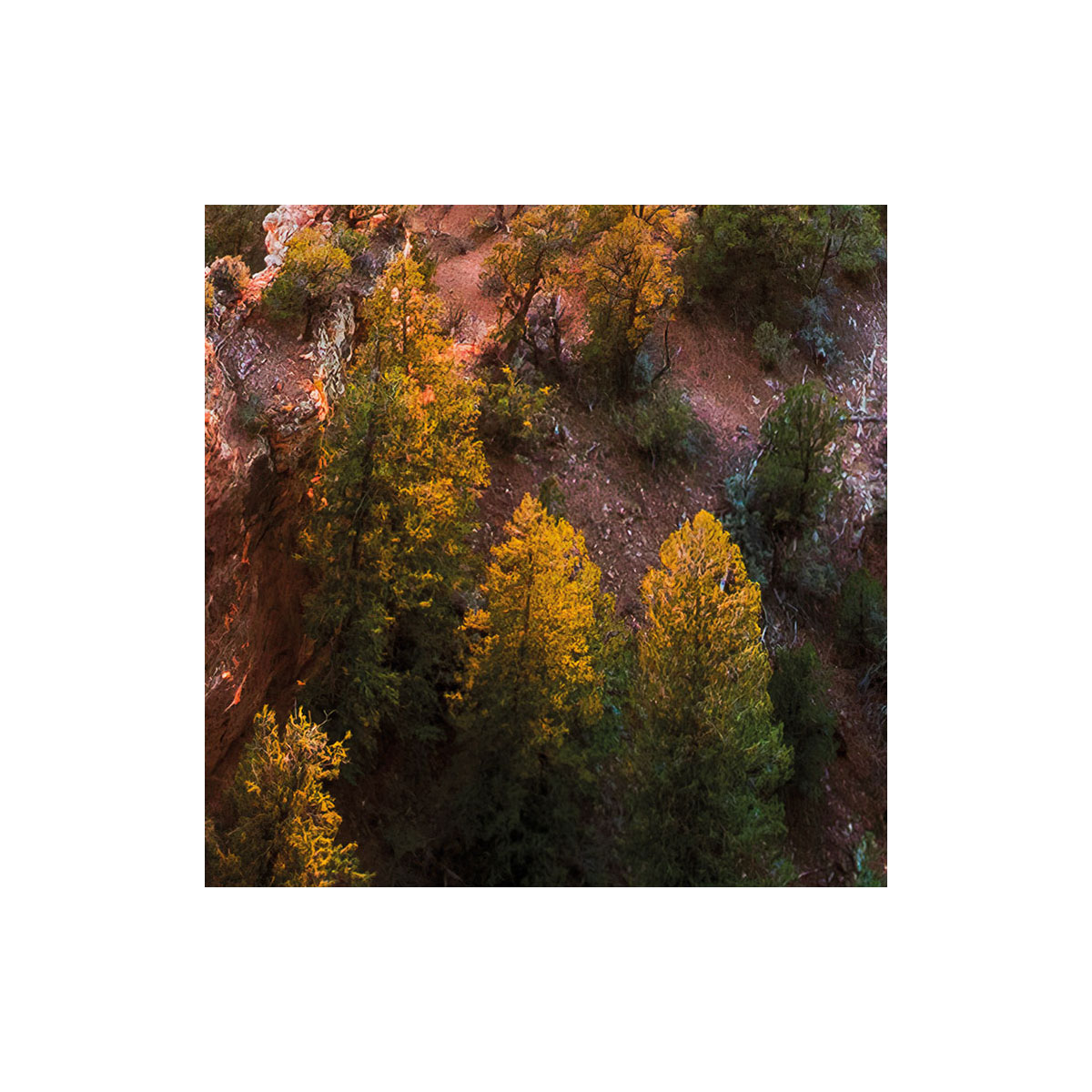 Komar  Vlies Fototapete Imperial View 450x280 cm Bild 7