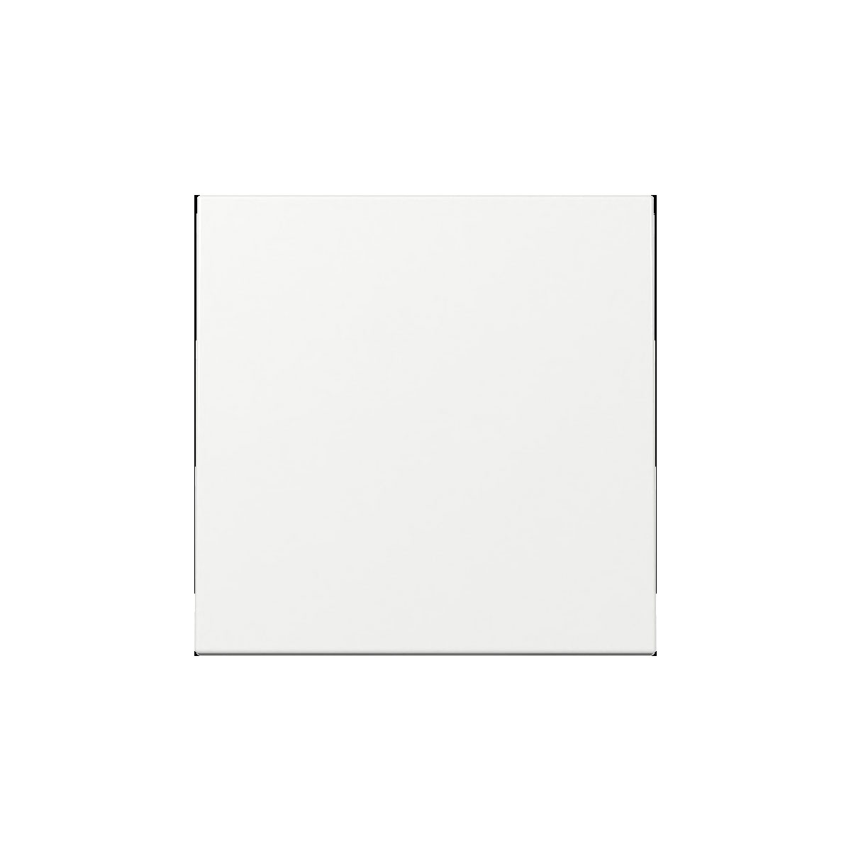 Gira  Wippe System 55 Reinweiß