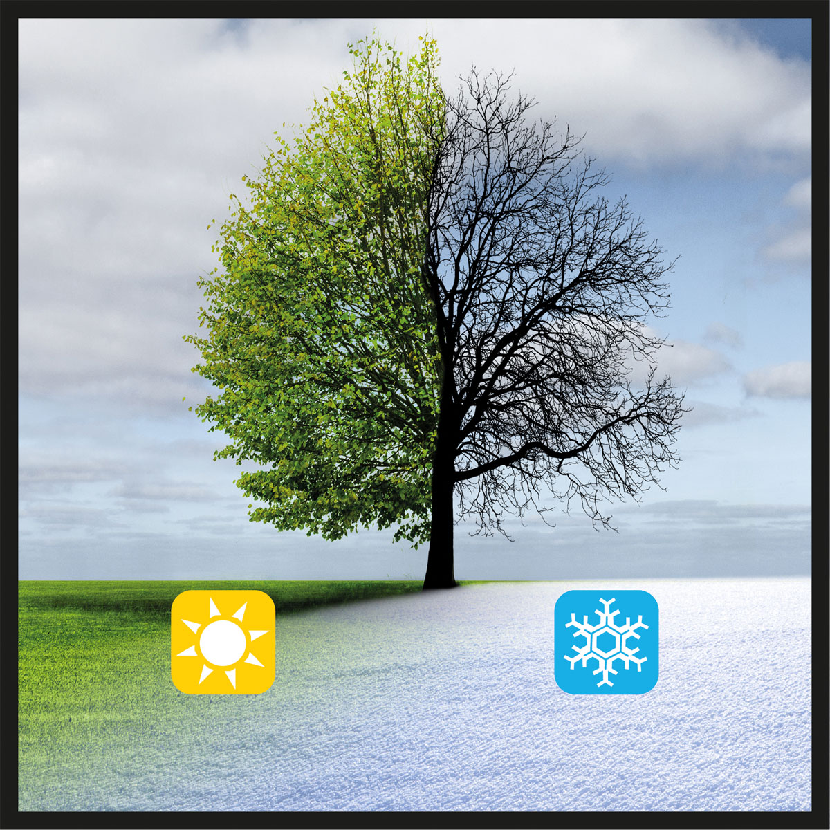 Einhell  Universal Streuer GE-US 18 Li-Solo  Bild 11