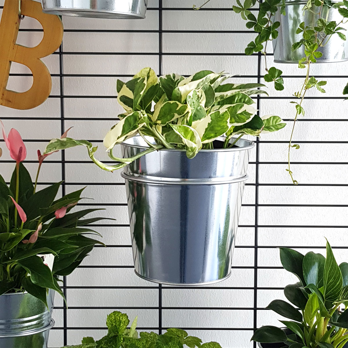 Wandgarten Fermo Einhänger Set 3 Stück Bild 3