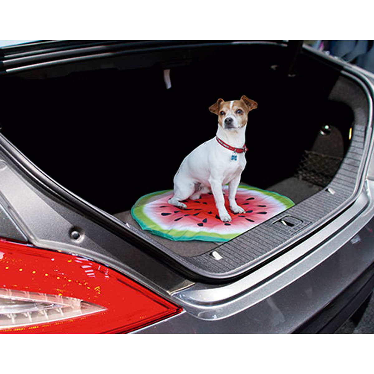 Starlyf Kühlmatte Pet Cooling Mat für Hunde Bild 5