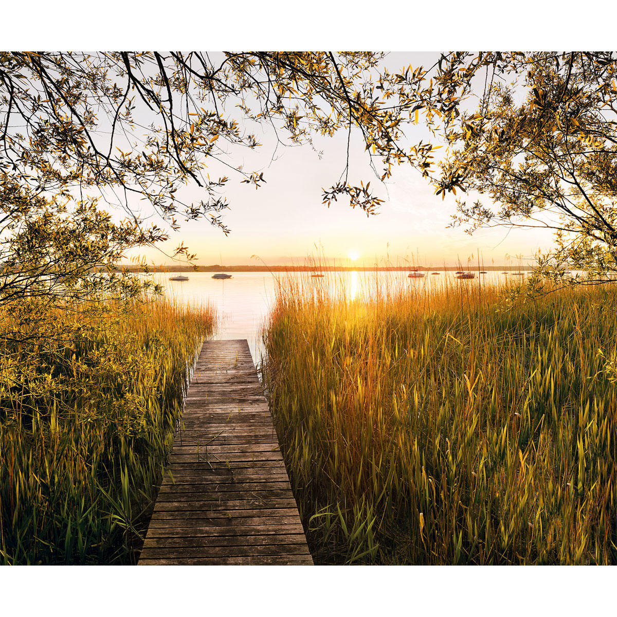 Komar  Vlies Fototapete Lakeside 300x250 cm Bild 2