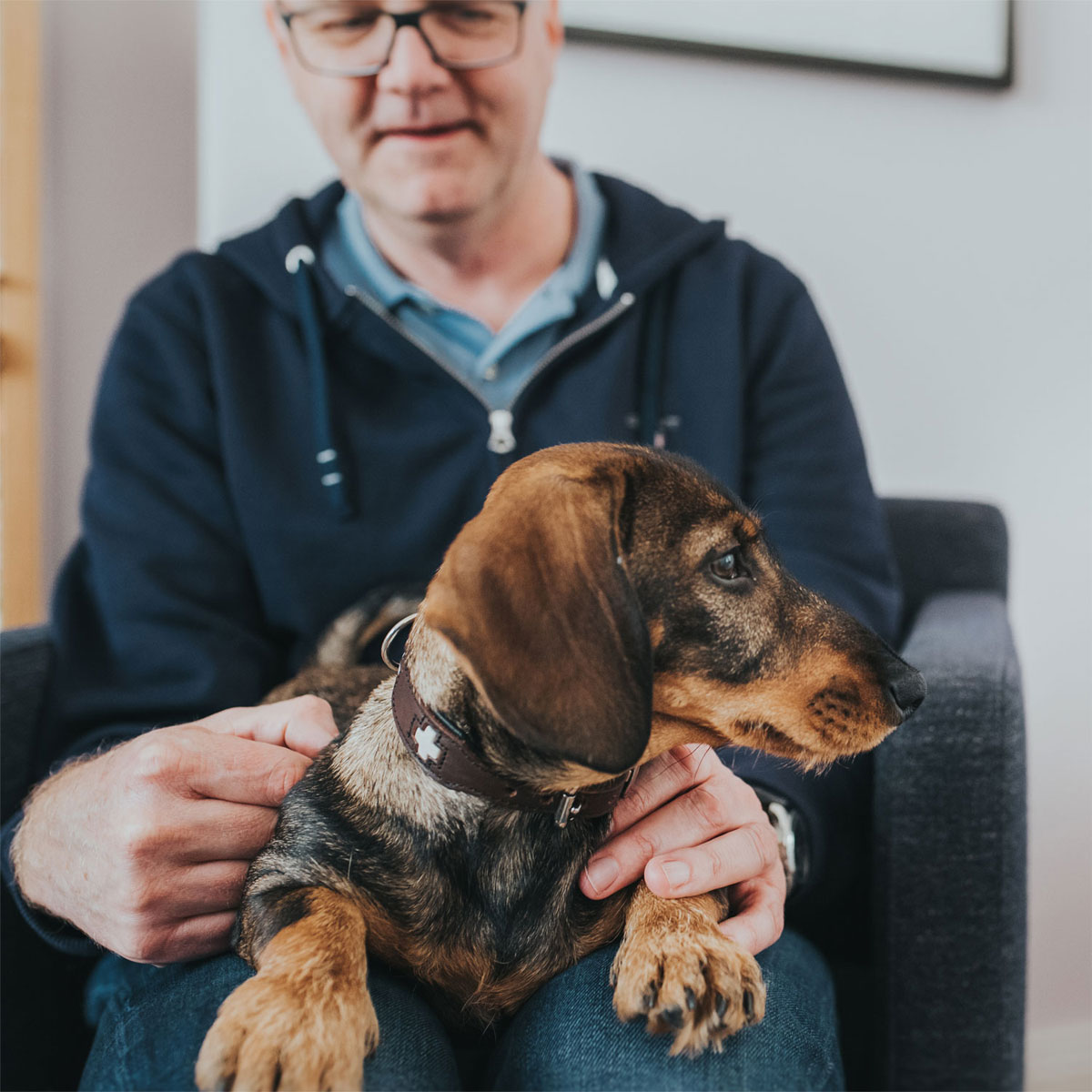 Hunter  Halsband Swiss nickel braun 32 Bild 3