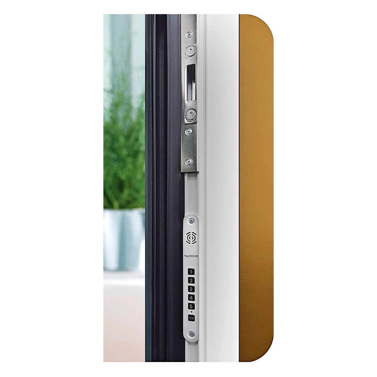 Aluminium-Sicherheitshaustür Turin/Venedig anthrazit Bild 2