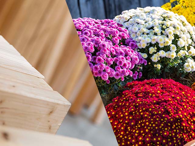 Testsieger- Produkte