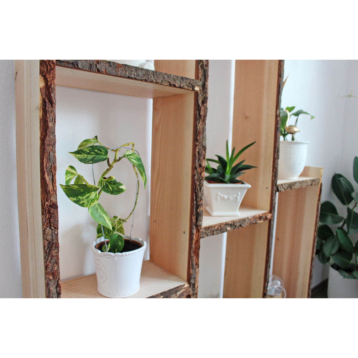 Douglasie-Massivholzbrett unbesäumt ca 120 x 26-30 cm Bild 4