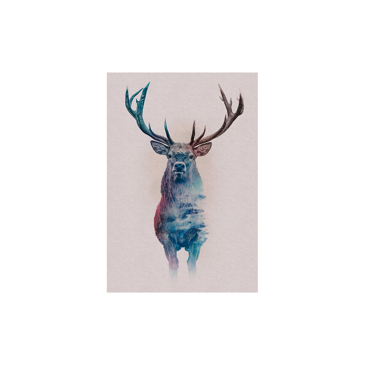 Komar  Wandbild Animals Forest Deer 30x40 cm Bild 2