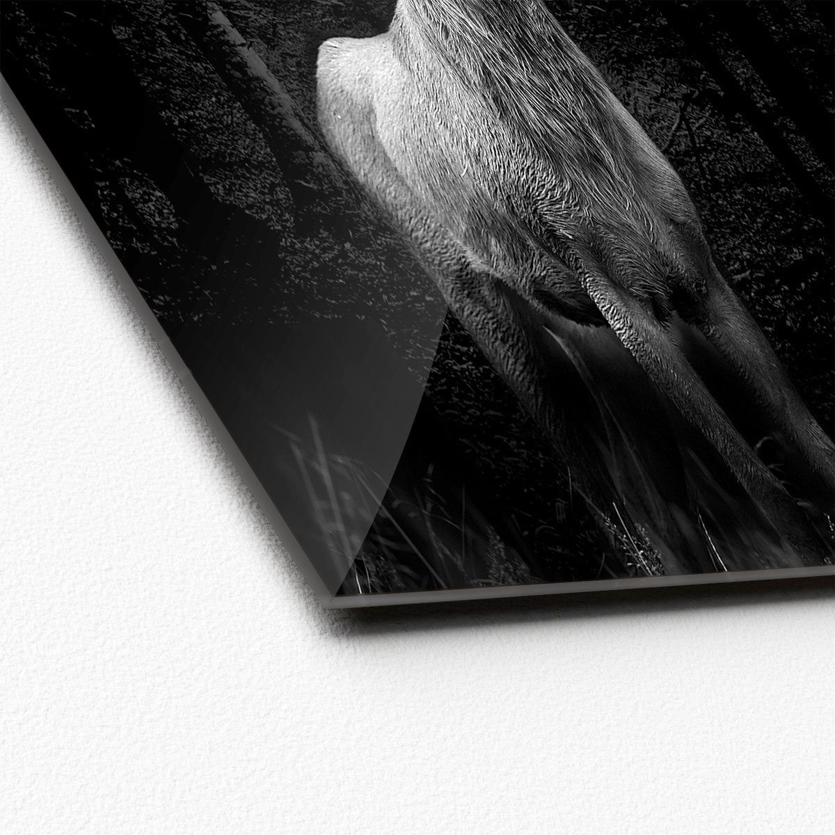 Glas-Art Grey Deer Head 50 x 50 Glasbild Bild 2