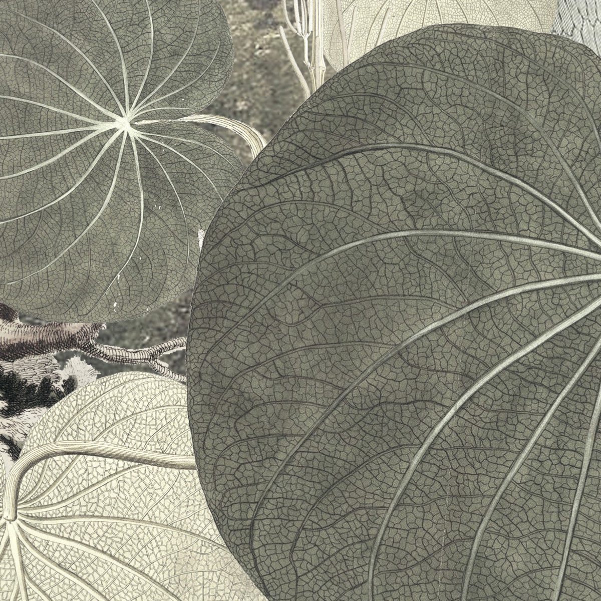 Komar  Vlies Fototapete Creation 300x280 cm Bild 6