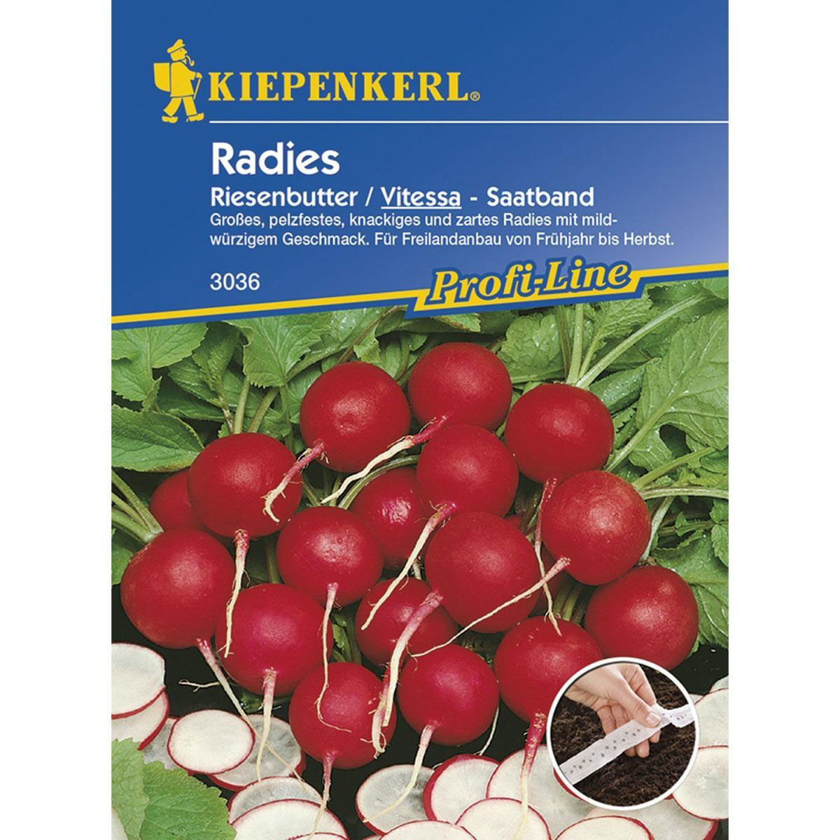 Kiepenkerl Radieschen Vitessa - Saatband Profi-Line Bild 1