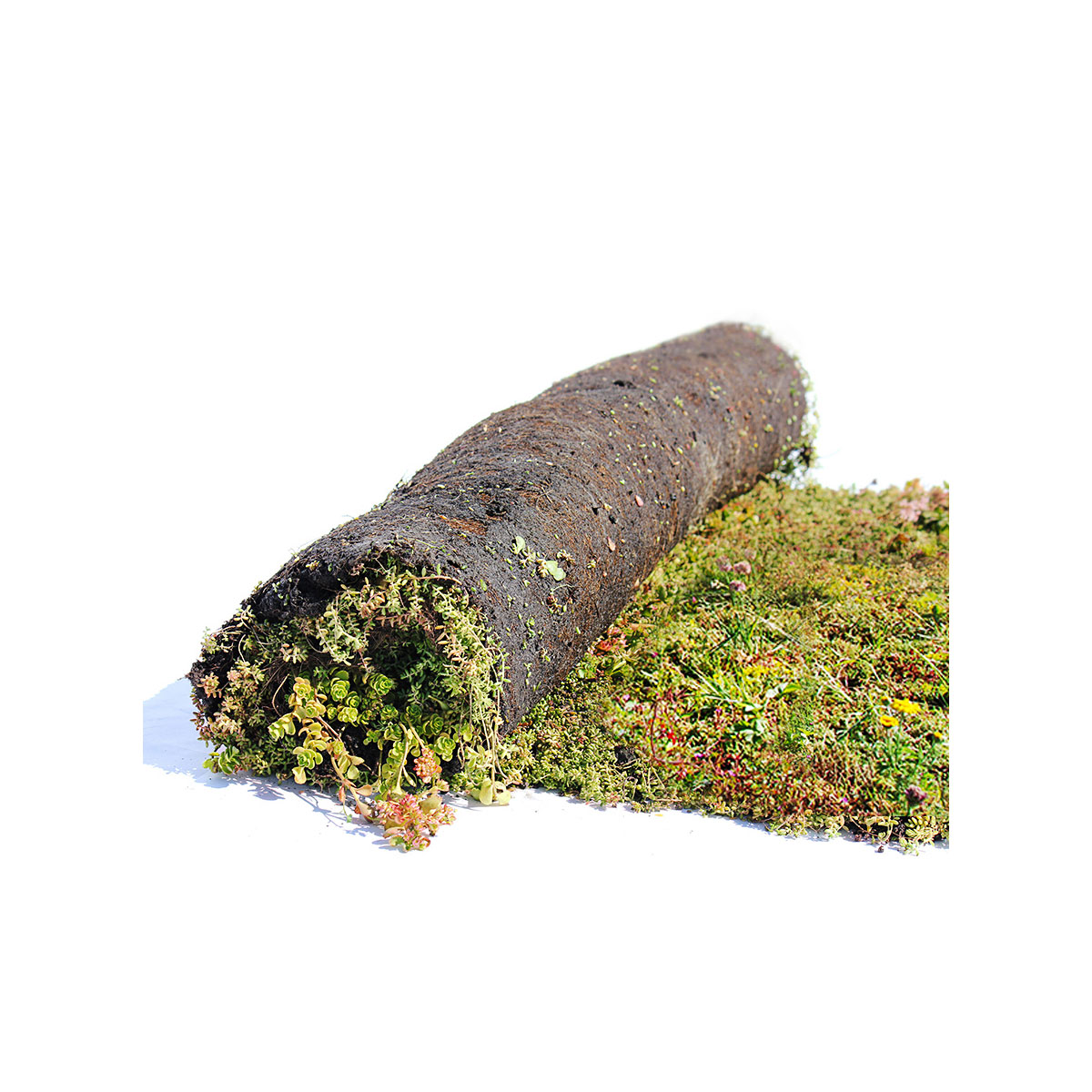 AboutGreen Gründachsystem Aromadach bis 10 Dachneigung 1 m²