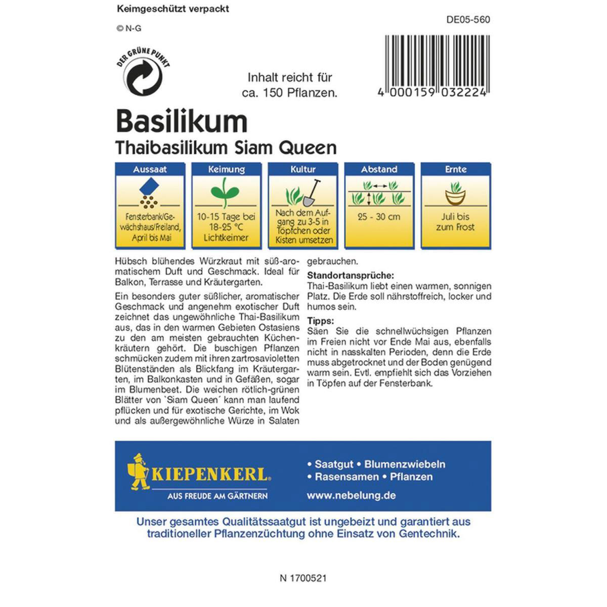Kiepenkerl Basilikum Siam Queen Profi-Line Bild 2