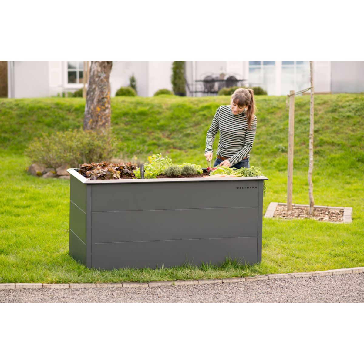 Westmann Hochbeet Primus L 75x150x77cm