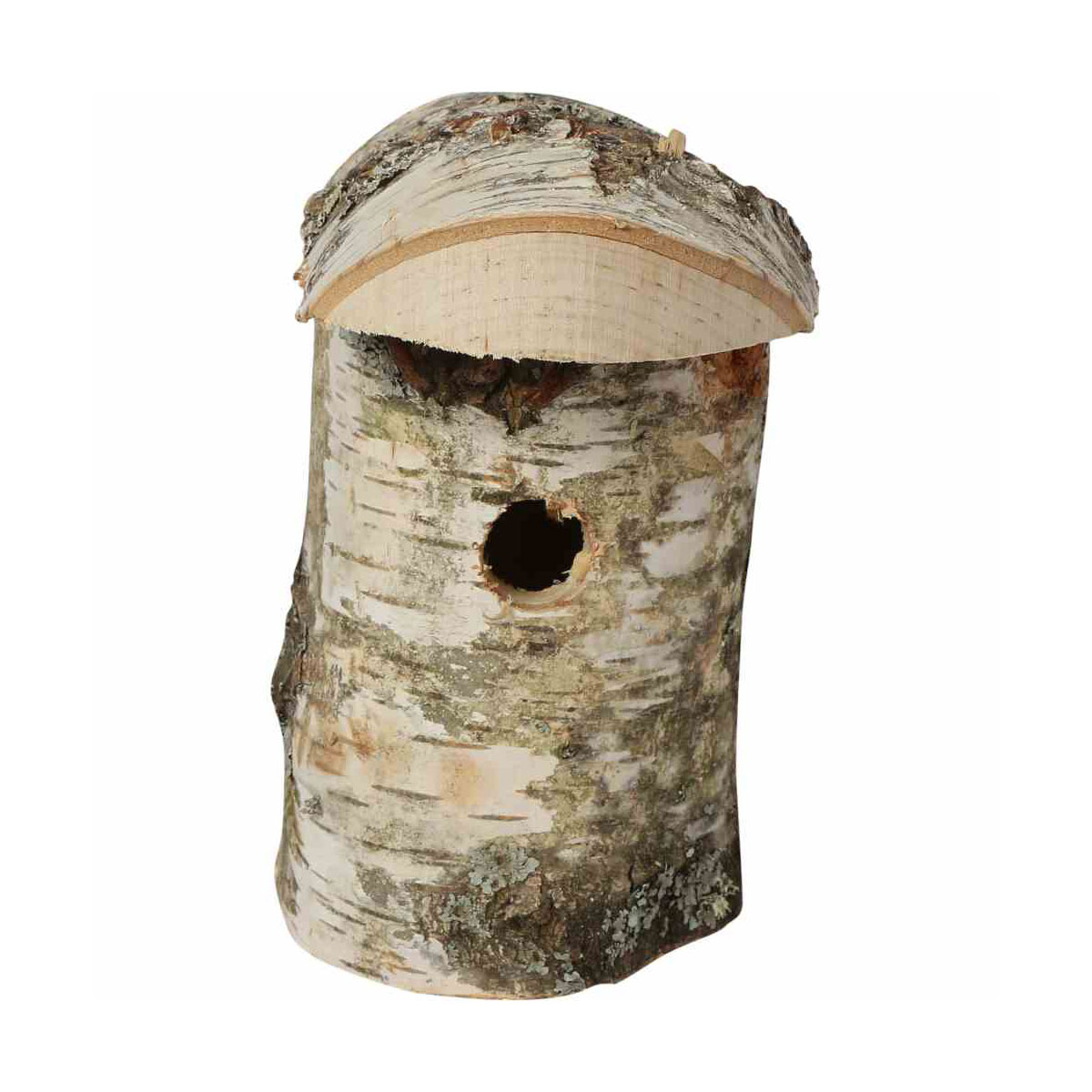 Siena Garden  Nistkasten Birke 32 mm
