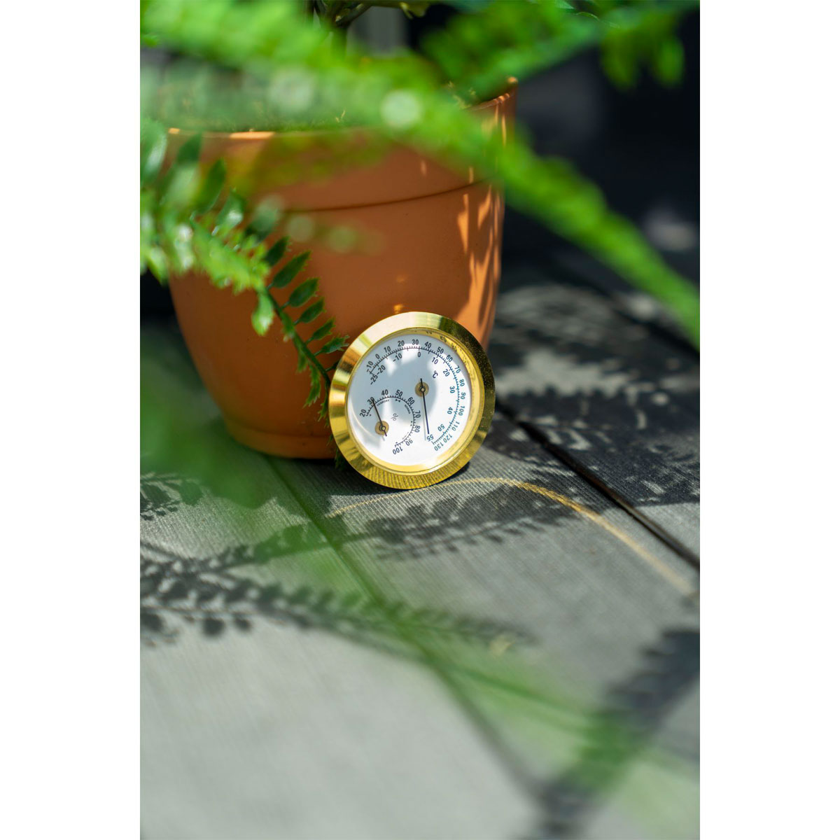 Vitavia Hygrometer Blister Bild 2