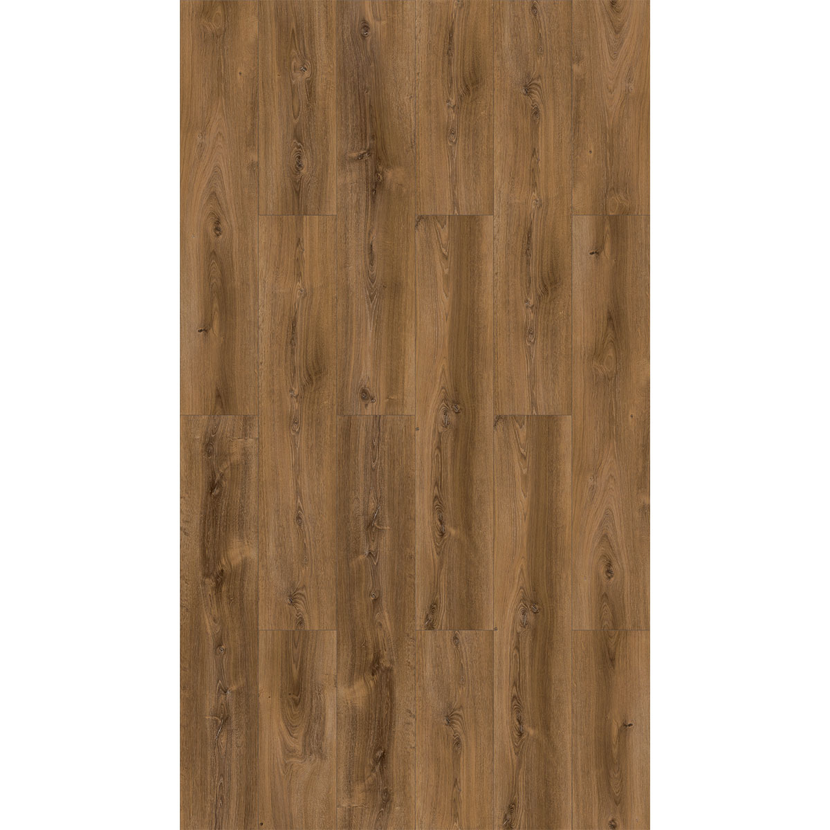 Parador Laminat Basic 600 Eiche Monatana Bild 2