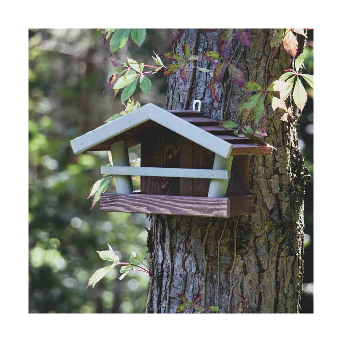 Siena Garden  Vogelhaus Nico Bild 2