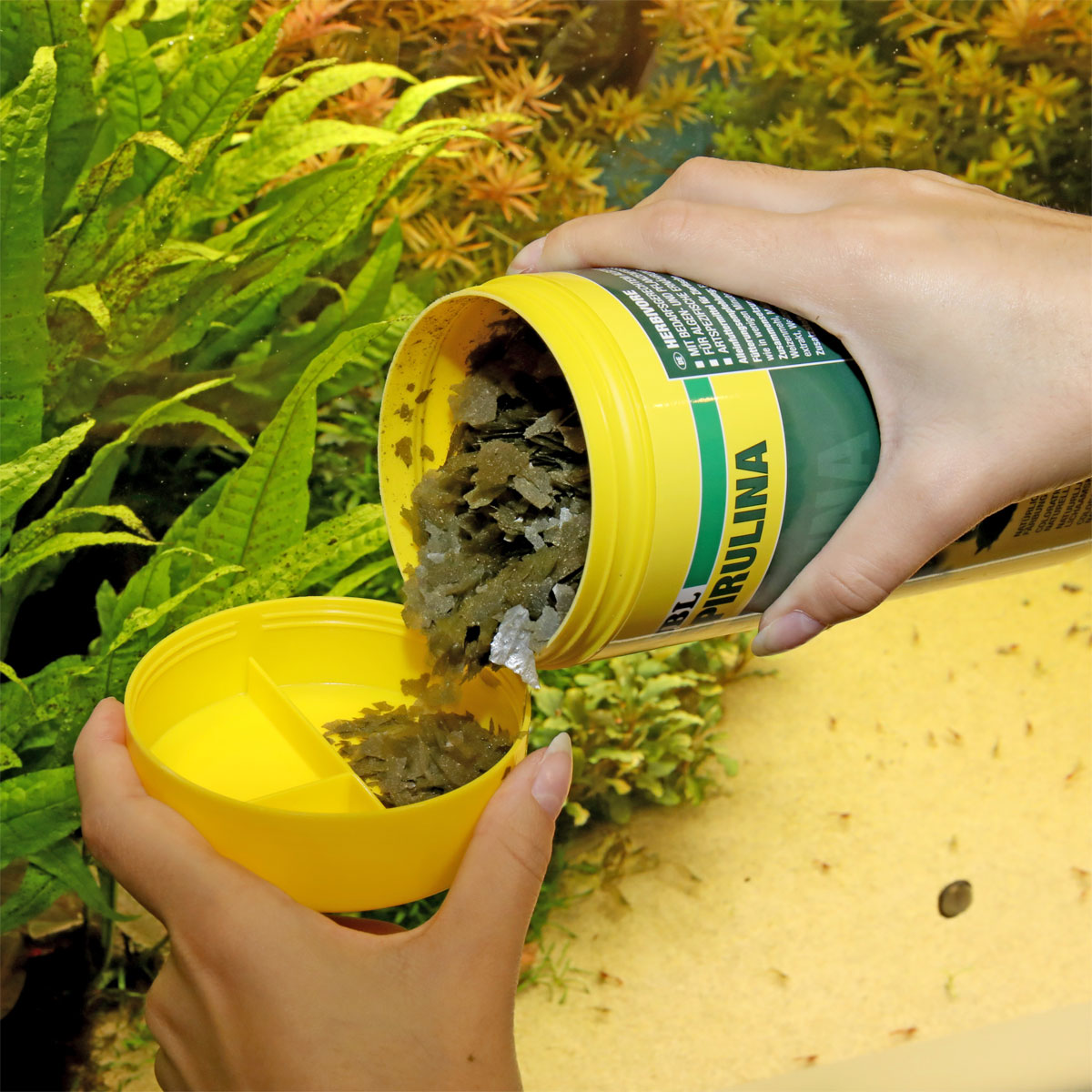 JBL  PRONOVO SPIRULINA FLAKES M 1000ml Bild 5