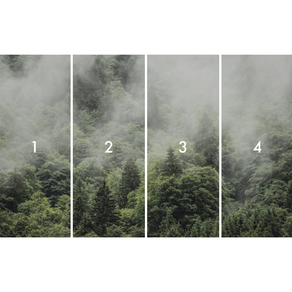 Komar  Vlies Fototapete Forest Land 400x250 cm Bild 3