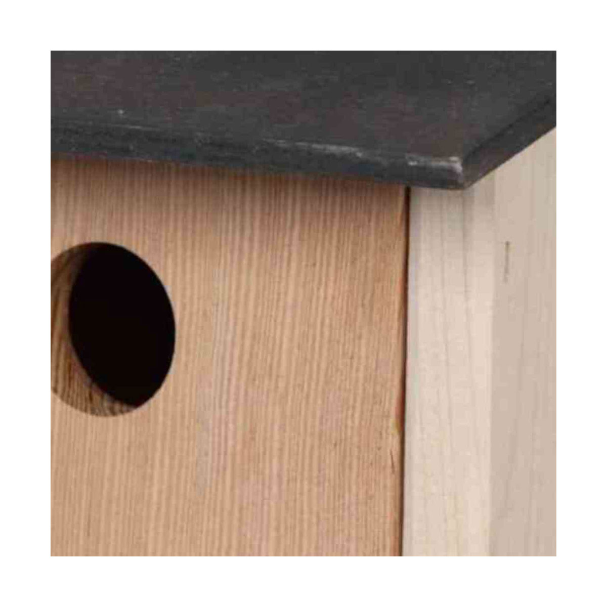 Siena Garden  Nistkasten Ruby 30 mm Bild 5
