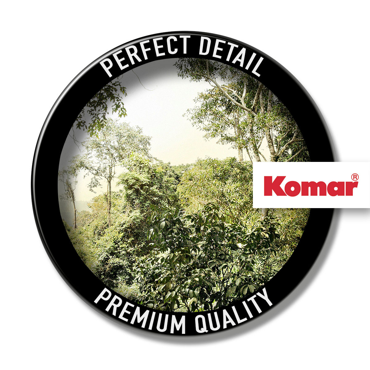 Komar  Vlies Fototapete Dschungel 350x250 cm Bild 3